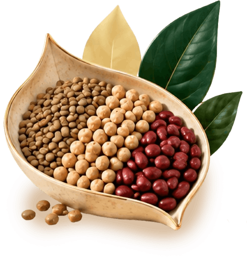 حبوبات آرمیتا